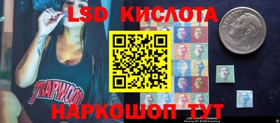 шишки Ярославль