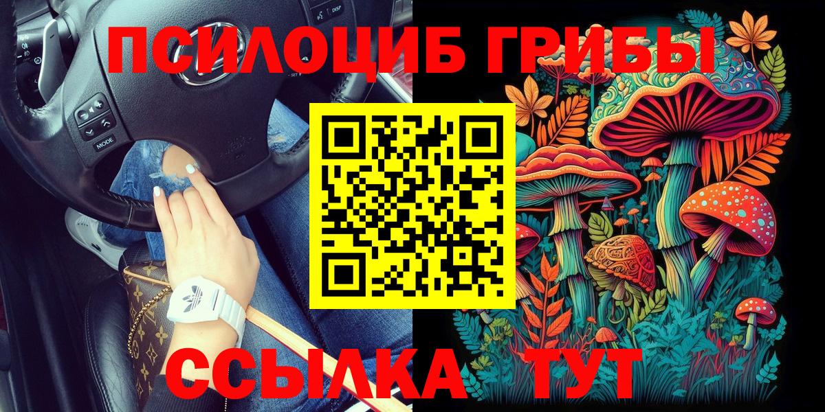 Псилоцибиновые грибы мухоморы Богданович
