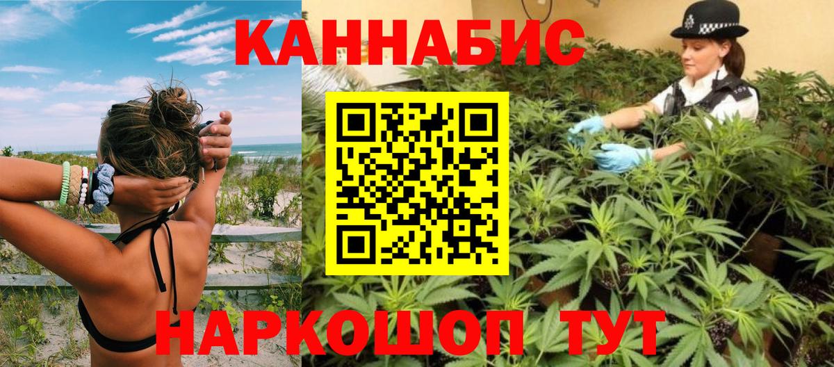 Марихуана гибрид Богданович